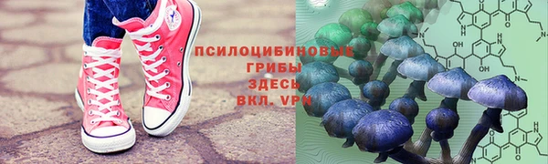 хмурый Тобольск