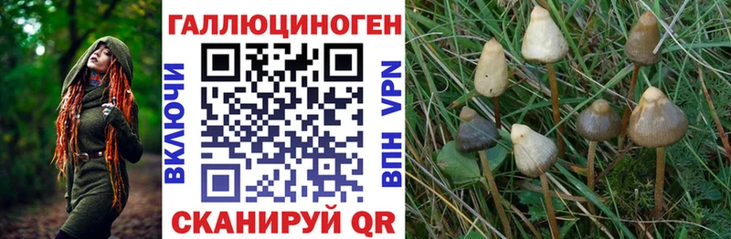 закладки Ханты-Мансийск Галлюциногенные грибы MAGIC MUSHROOMS