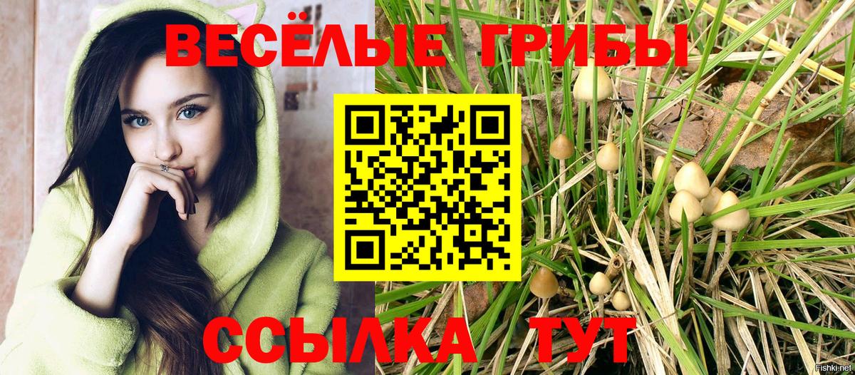 Псилоцибиновые грибы Cubensis  Вход с VPN  Псилоцибиновые грибы прущие грибы  Ханты-Мансийск 